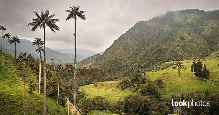 Reiseziele: Kolumbien von Fotograf Günther Bayerl