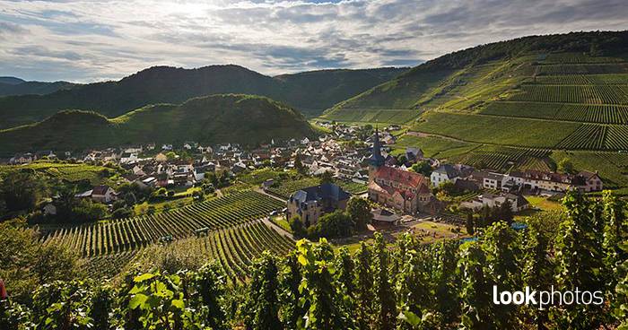 Es herrscht Herbststimmung! Bilder von Fotograf Heinz Wohner