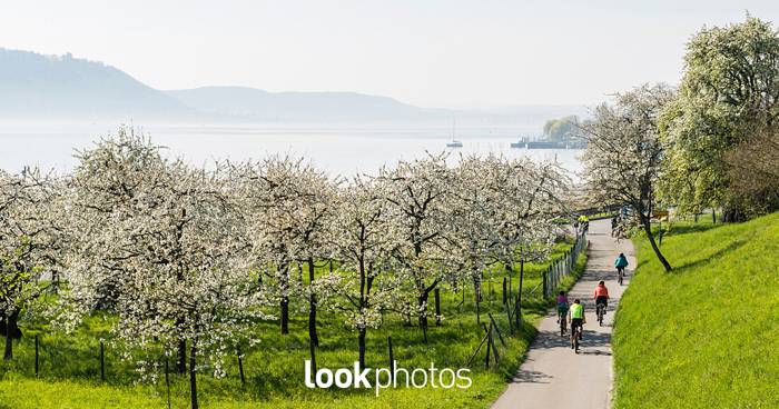 Ab in den Frühling – Unterwegs mit Daniel Schoenen