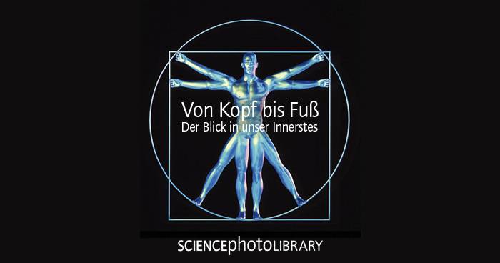 Von Kopf bis Fuß – Der Blick in unser Innerstes