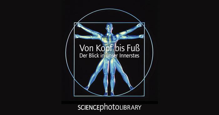 Von Kopf bis Fuß – Der Blick in unser Innerstes