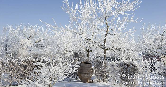 Wie gestalte ich einen attraktiven Winter-Garten?