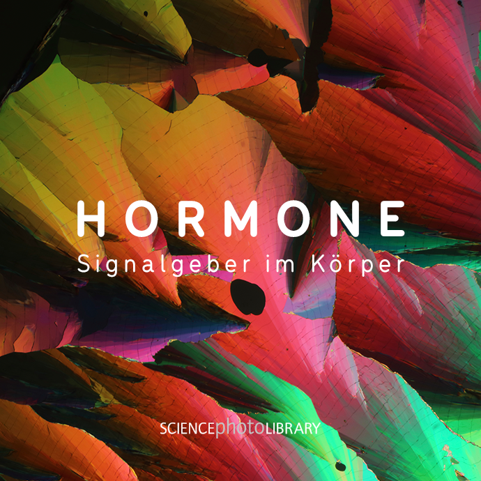 Hormone – Signalgeber im Körper