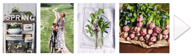 Inspirationen zum Frühling
