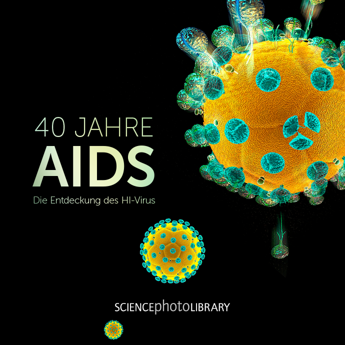 40 Jahre AIDS: Die Entdeckung des HI-Virus