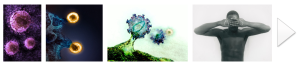 Footer HI-Virus 